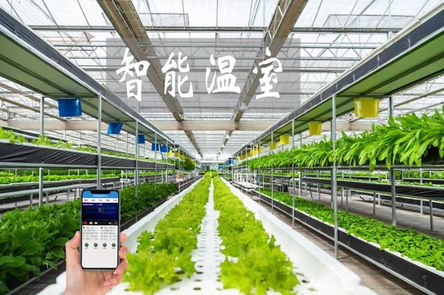 農業物聯網賦能傳統大棚升級，手機管控溫濕度引領智能農業新時代