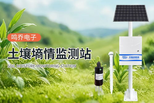 土壤墑情監測系統 農田的“智能聽診器”，賦能高效精準農業