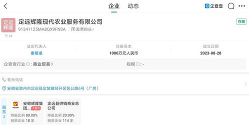 輝隆股份布局智能農業新賽道 成立新公司拓展智慧農業服務版圖